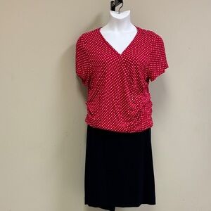 Kasper Black Skirt and Red Polka Dot Talbots Top